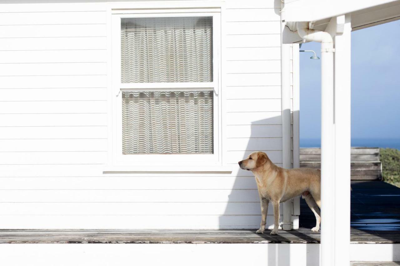 Pearl Bay Beach Home Yzerfontein Dış mekan fotoğraf